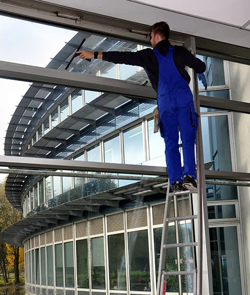 Gebäudereiniger auf der Leiter reinigt von außen eine gebogene Glasfassade